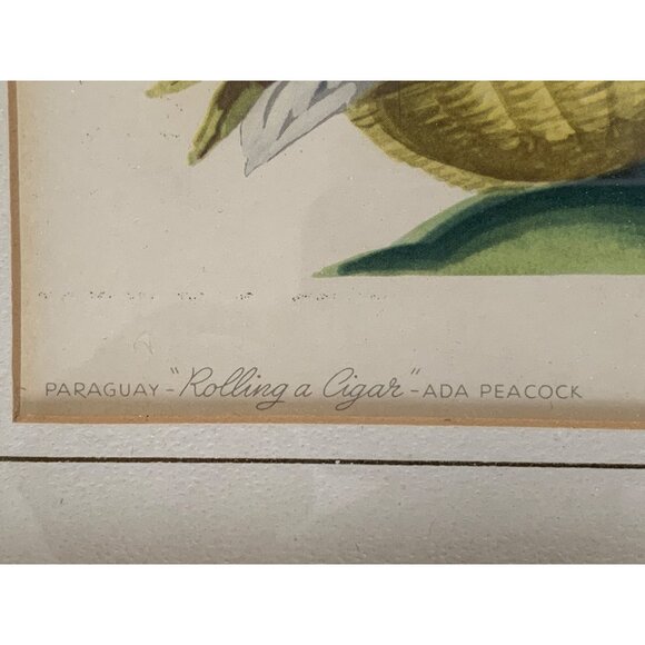 Vintage Ada Peacock Framed Prints Peru Paraguay Latin Set of 3 15" x 12" 8454 - Picture 4 of 8